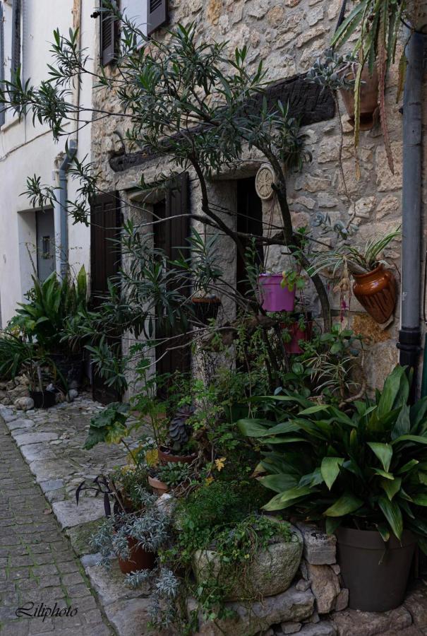 Cosy Provencal Apartment Belgentier Exterior photo